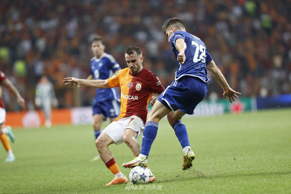 网站搜索流 网站搜索流