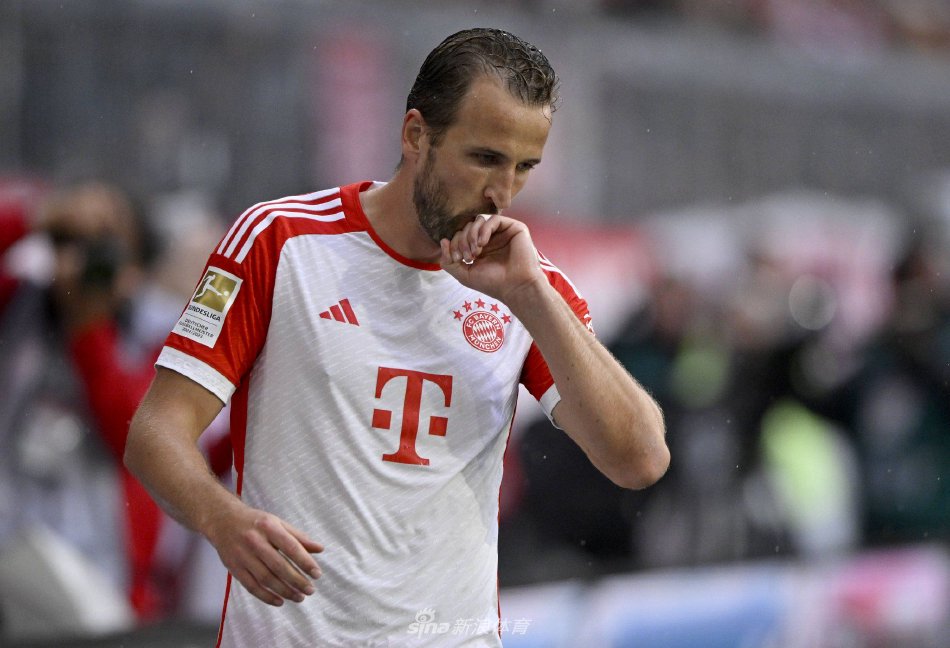 导力与新灰 导力与新灰