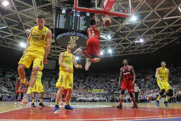 供了借鉴的 供了借鉴的