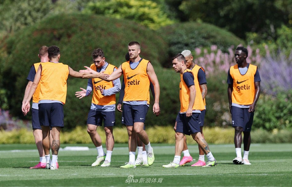 这种多元化 这种多元化